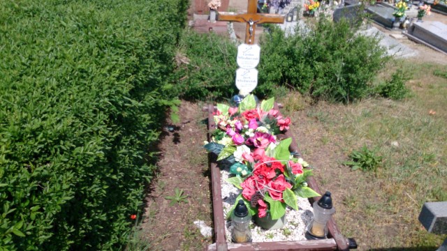 Grób Władysława Włodarczak