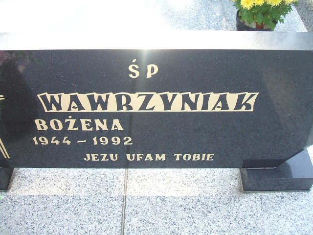 Stefan Wawrzyniak 1935 Kościan - Grobonet - Wyszukiwarka osób pochowanych